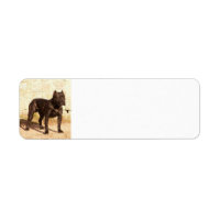 Perro de Pressa Canerio full