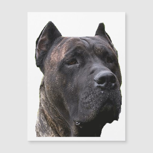Perro de Pressa.png Magnetkarte (Vorderseite)