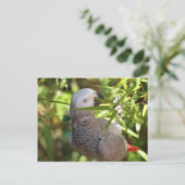 Perroket Postkarte (Stehend Vorderseite)