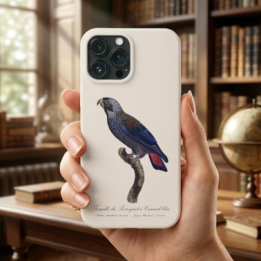 Perroquet a Camail bleu / Dusky Papagei Case-Mate iPhone Hülle