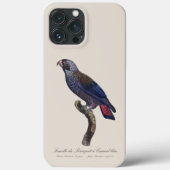 Perroquet a Camail bleu / Dusky Papagei Case-Mate iPhone Hülle (Rückseite)