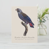 Perroquet a Camail bleu / Dusky Papagei Dankeskarte (Stehend Vorderseite)