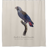 Perroquet a Camail bleu / Dusky Papagei Duschvorhang (Vorderseite)