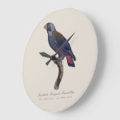 Perroquet a Camail bleu / Dusky Papagei Große Wanduhr (Winkel)