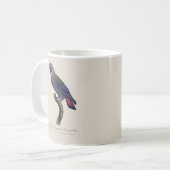 Perroquet a Camail bleu / Dusky Papagei Kaffeetasse (Vorderseite Links)