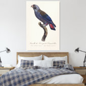 Perroquet a Camail bleu / Dusky Papagei Leinwanddruck (Insitu (Schlafzimmer))