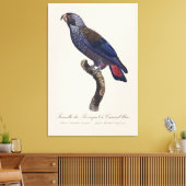 Perroquet a Camail bleu / Dusky Papagei Leinwanddruck (Insitu (Wohnzimmer))