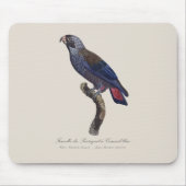 Perroquet a Camail bleu / Dusky Papagei Mousepad (Vorne)