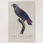 Perroquet a Camail bleu / Dusky Papagei Puzzle (Vertikal)