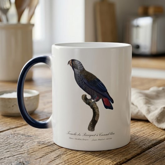 Perroquet a Camail bleu / Dusky Papagei Verwandlungstasse