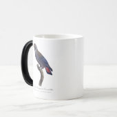 Perroquet a Camail bleu / Dusky Papagei Verwandlungstasse (Vorderseite Links)