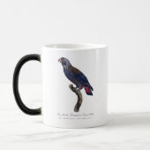 Perroquet a Camail bleu / Dusky Papagei Verwandlungstasse (Links)