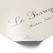 Perroquet Aourou-couraou / Orangenflügeltes Amazon Fotodruck (Ecke)