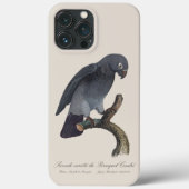 Perroquet Cendre/Timneh-Papagei Case-Mate iPhone Hülle (Rückseite)