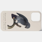 Perroquet Cendre/Timneh-Papagei Case-Mate iPhone Hülle (Rückseite (Horizontal))