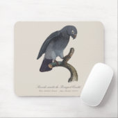 Perroquet Cendre/Timneh-Papagei Mousepad (Mit Mouse)