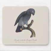 Perroquet Cendre/Timneh-Papagei Mousepad (Vorne)