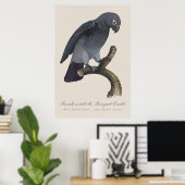 Perroquet Cendre/Timneh-Papagei Poster (Heimbüro)