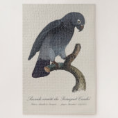 Perroquet Cendre/Timneh-Papagei Puzzle (Vertikal)