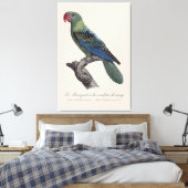 Perroquet ein Béc Couleur sang / Großschnabelpapag Leinwanddruck (Insitu (Schlafzimmer))