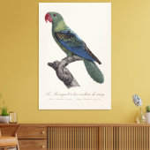 Perroquet ein Béc Couleur sang / Großschnabelpapag Leinwanddruck (Insitu (Wohnzimmer))