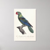 Perroquet ein Béc Couleur sang / Großschnabelpapag Leinwanddruck (Vorderseite)