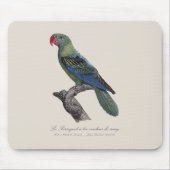 Perroquet ein Béc Couleur sang / Großschnabelpapag Mousepad (Vorne)
