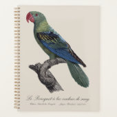 Perroquet ein Béc Couleur sang / Großschnabelpapag Planer (Vorderseite)