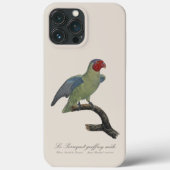 Perroquet geoffroy männlich / Roter Wangenpapagei Case-Mate iPhone Hülle (Rückseite)