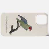 Perroquet geoffroy männlich / Roter Wangenpapagei Case-Mate iPhone Hülle (Rückseite (Horizontal))