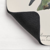 Perroquet geoffroy männlich / Roter Wangenpapagei Mousepad (Ecke)