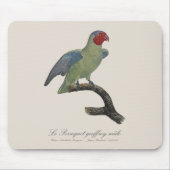 Perroquet geoffroy männlich / Roter Wangenpapagei Mousepad (Vorne)
