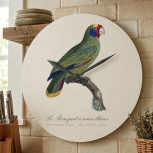 Perroquet-Joues-Blues / Rotschwanzamazone Große Wanduhr