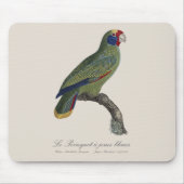 Perroquet-Joues-Blues / Rotschwanzamazone Mousepad (Vorne)