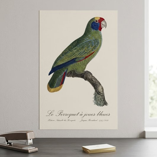 Perroquet-Joues-Blues / Rotschwanzamazone Poster