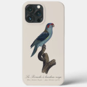 Perruche a bandeau rouge / Musk Lorikeet Case-Mate iPhone Hülle (Rückseite)