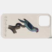 Perruche a bandeau rouge / Musk Lorikeet Case-Mate iPhone Hülle (Rückseite (Horizontal))