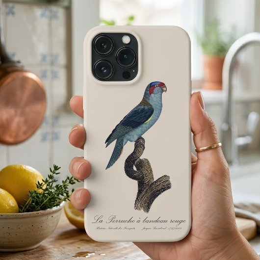 Perruche a bandeau rouge / Musk Lorikeet Case-Mate iPhone Hülle