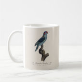 Perruche a bandeau rouge / Musk Lorikeet Kaffeetasse (Links)