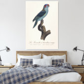 Perruche a bandeau rouge / Musk Lorikeet Leinwanddruck (Insitu (Schlafzimmer))