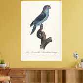 Perruche a bandeau rouge / Musk Lorikeet Leinwanddruck (Insitu (Wohnzimmer))