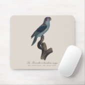 Perruche a bandeau rouge / Musk Lorikeet Mousepad (Mit Mouse)