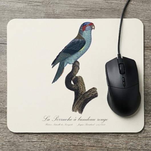 Perruche a bandeau rouge / Musk Lorikeet Mousepad