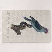 Perruche a bandeau rouge / Musk Lorikeet Puzzle (Horizontal)