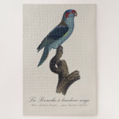Perruche a bandeau rouge / Musk Lorikeet Puzzle (Vertikal)