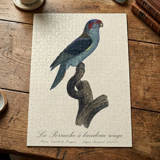 Perruche a bandeau rouge / Musk Lorikeet Puzzle