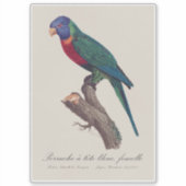 Perruche a tete bleue, femelle / Rainbow lorikeet, Aufkleber (Vorderseite)