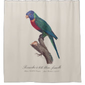 Perruche a tete bleue, femelle / Rainbow lorikeet, Duschvorhang (Vorderseite)