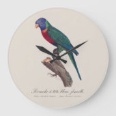 Perruche a tete bleue, femelle / Rainbow lorikeet, Große Wanduhr (Vorderseite)