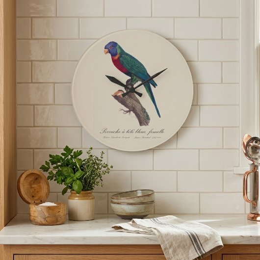 Perruche a tete bleue, femelle / Rainbow lorikeet, Große Wanduhr